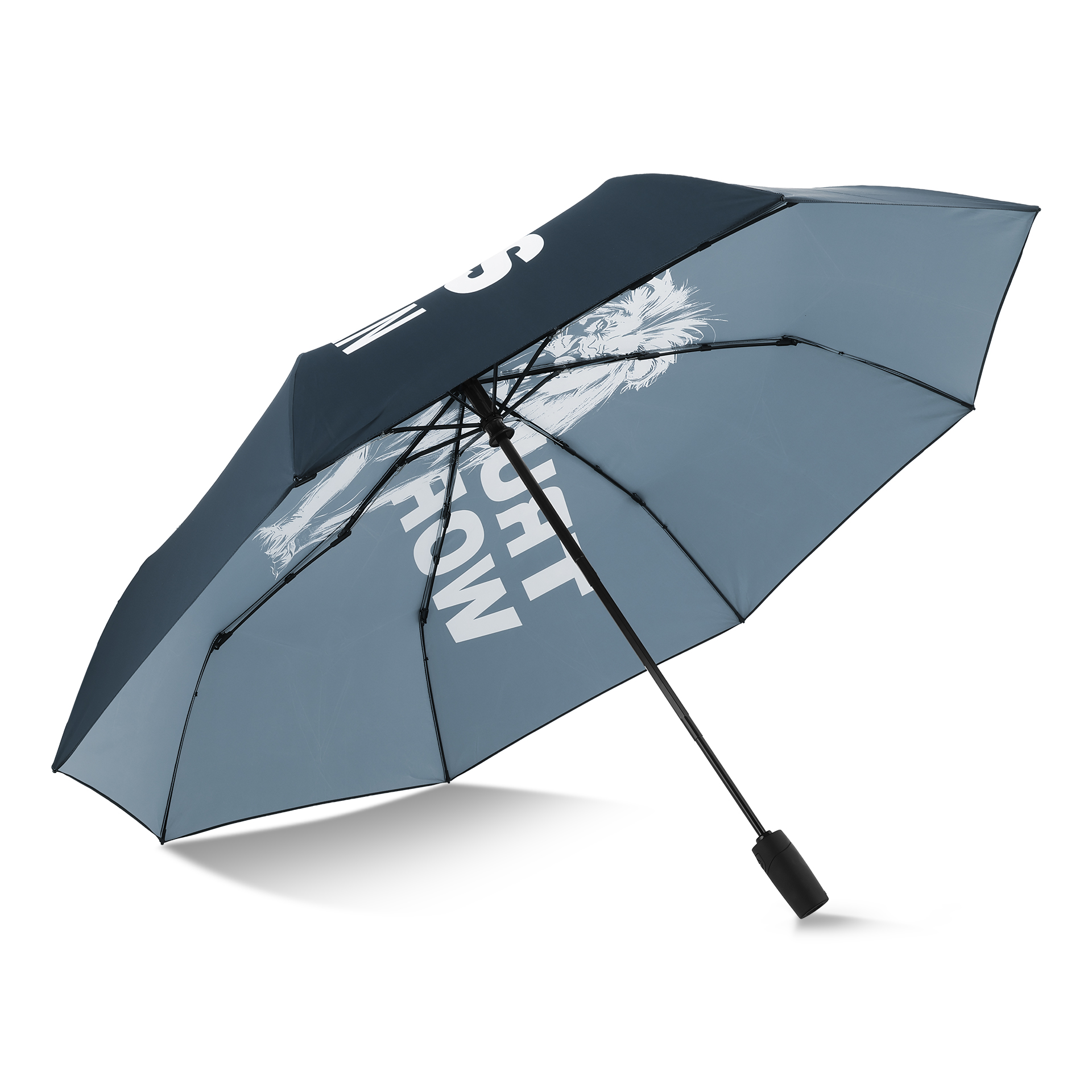 Parapluie de poche