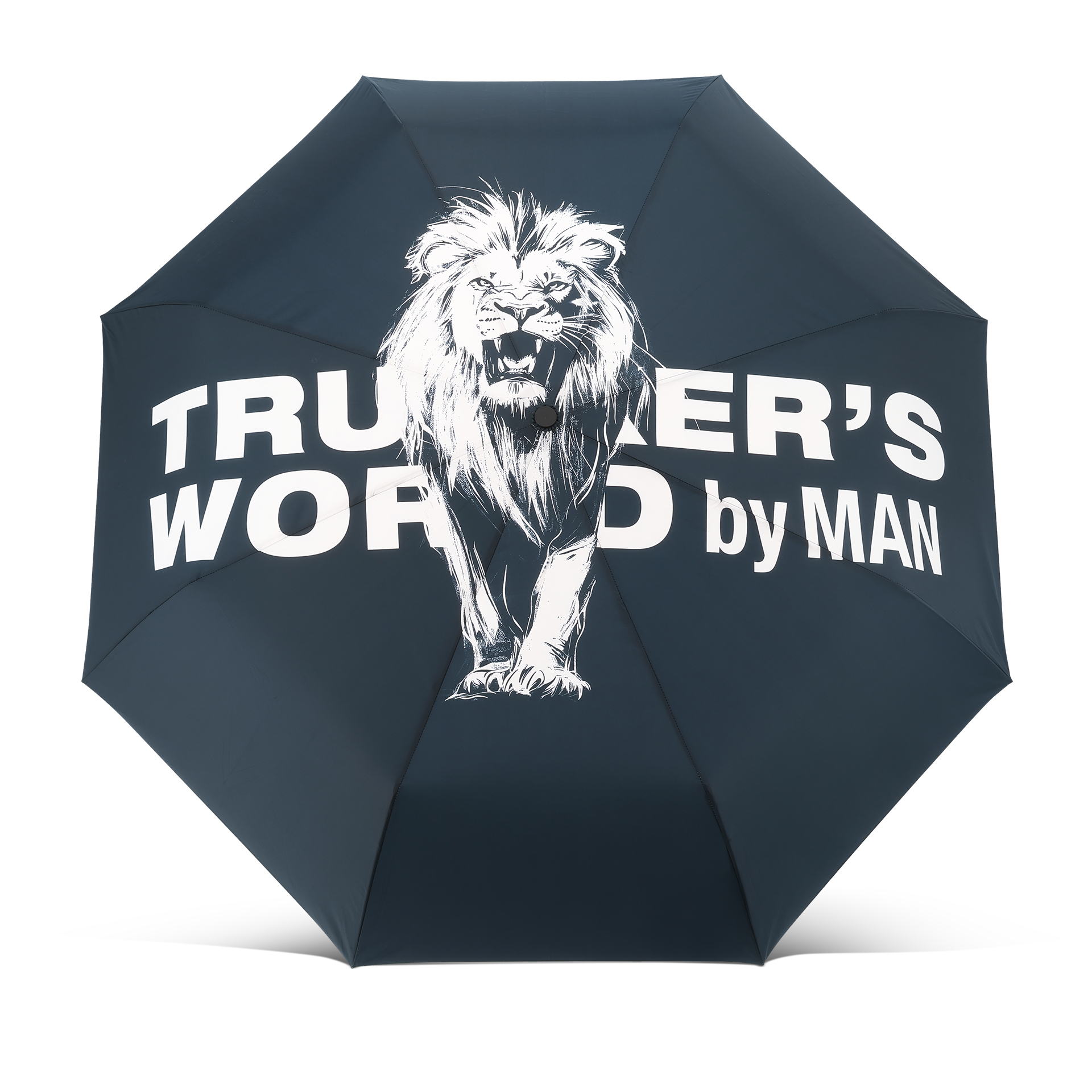Parapluie de poche