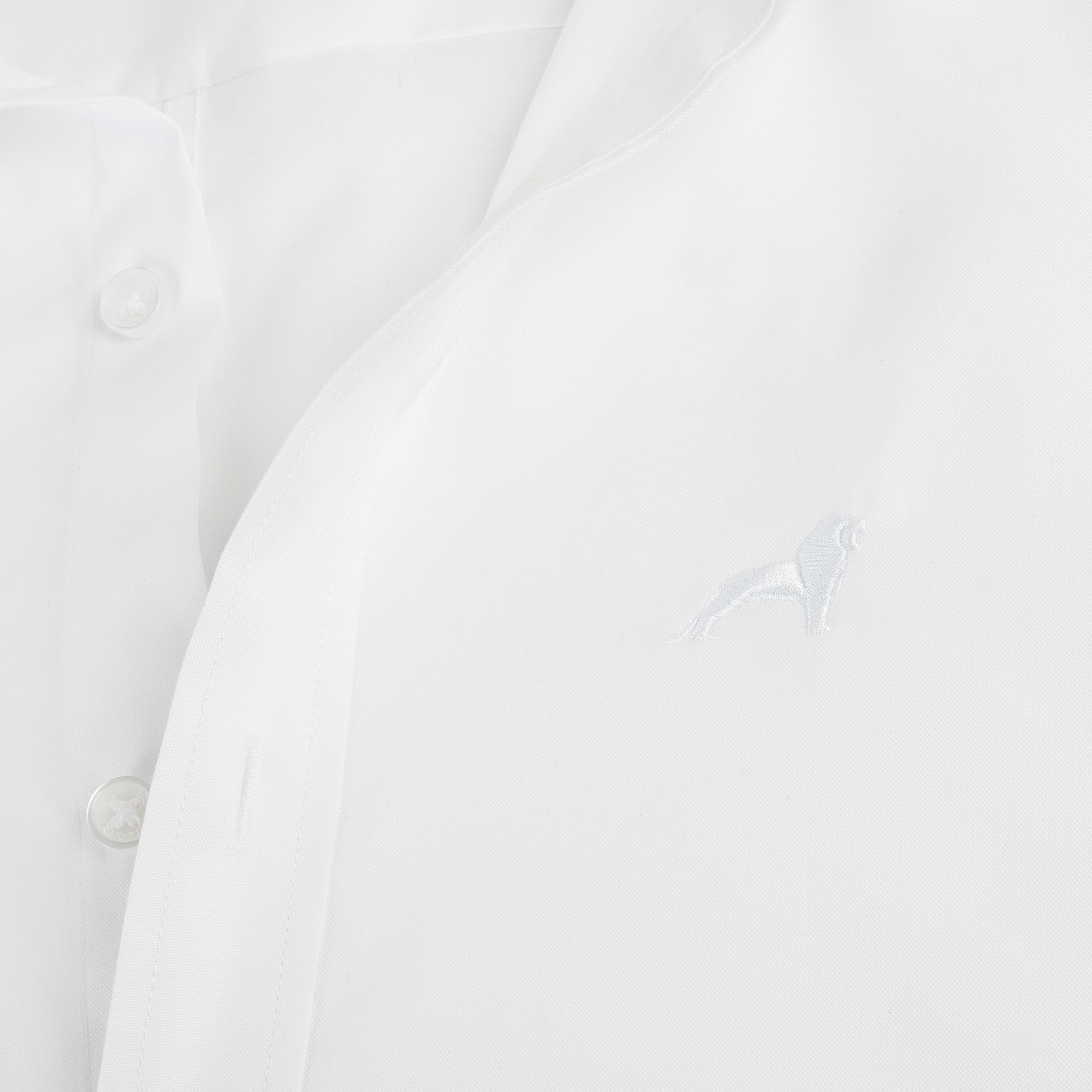 Men's Shirt
