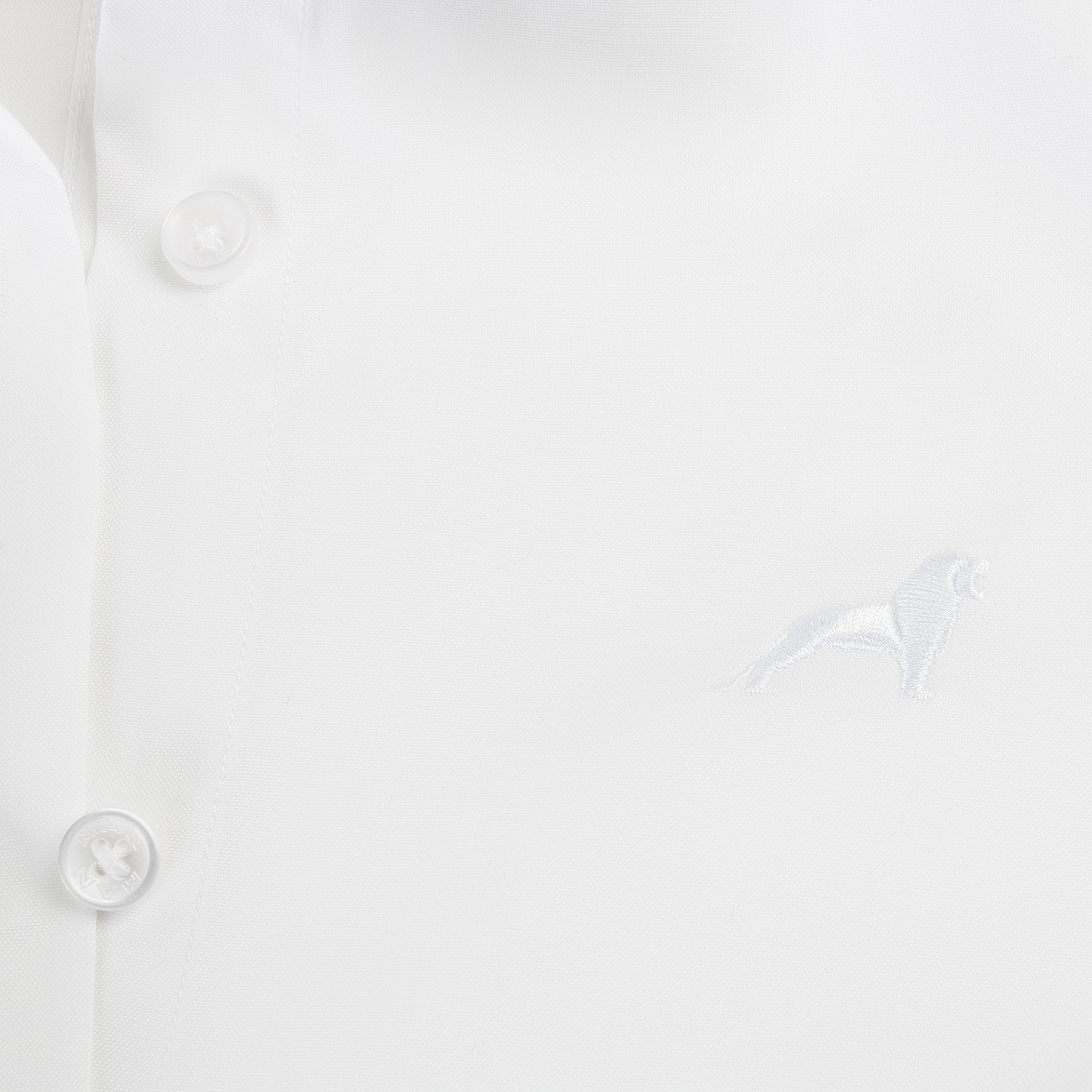 Women's Blouse