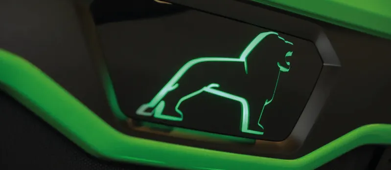 MAN Green Lion Collection 25